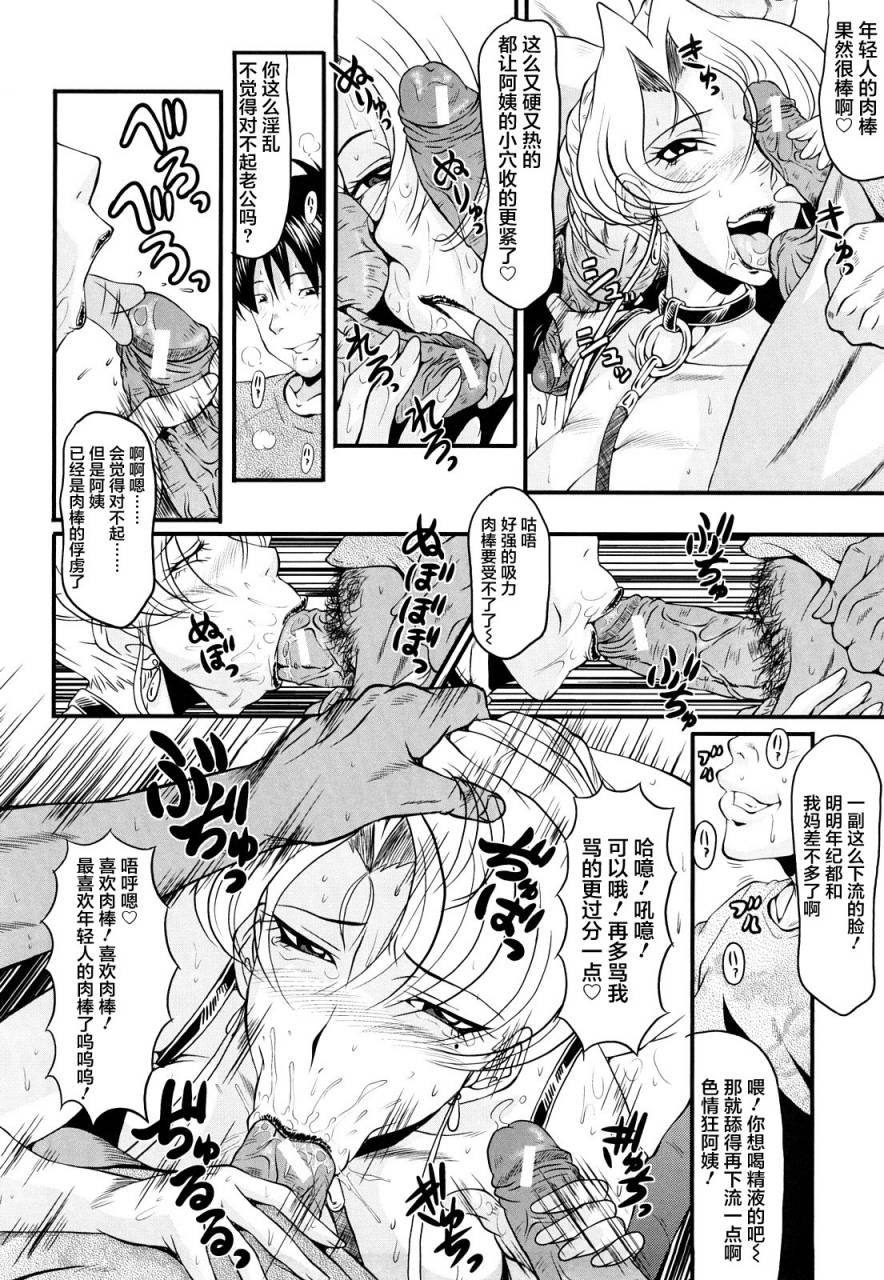 sink-dain-no-shukujo-kanjuku-chinese