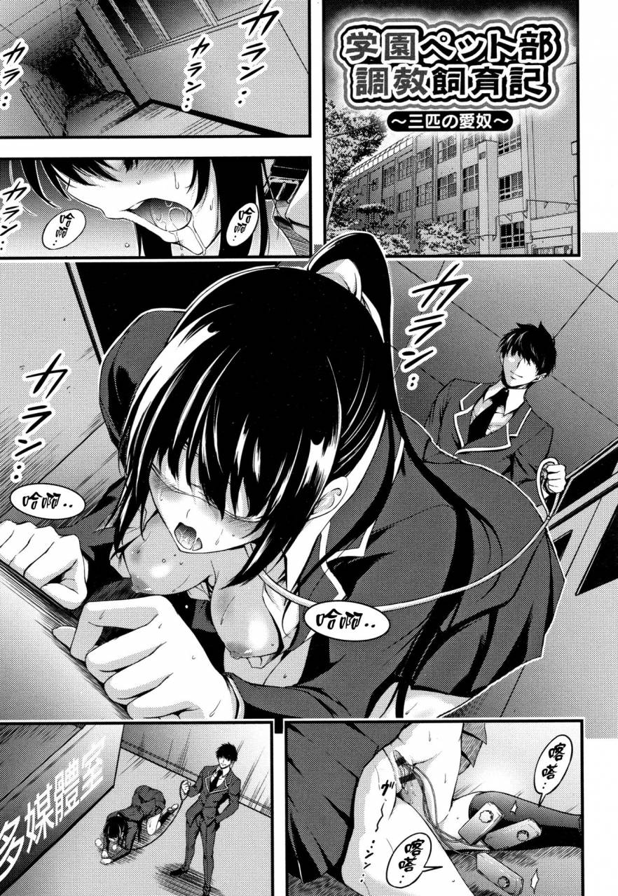 yamamoto-yammy-nichijou-bitch-seitai-kansatsu-chinese