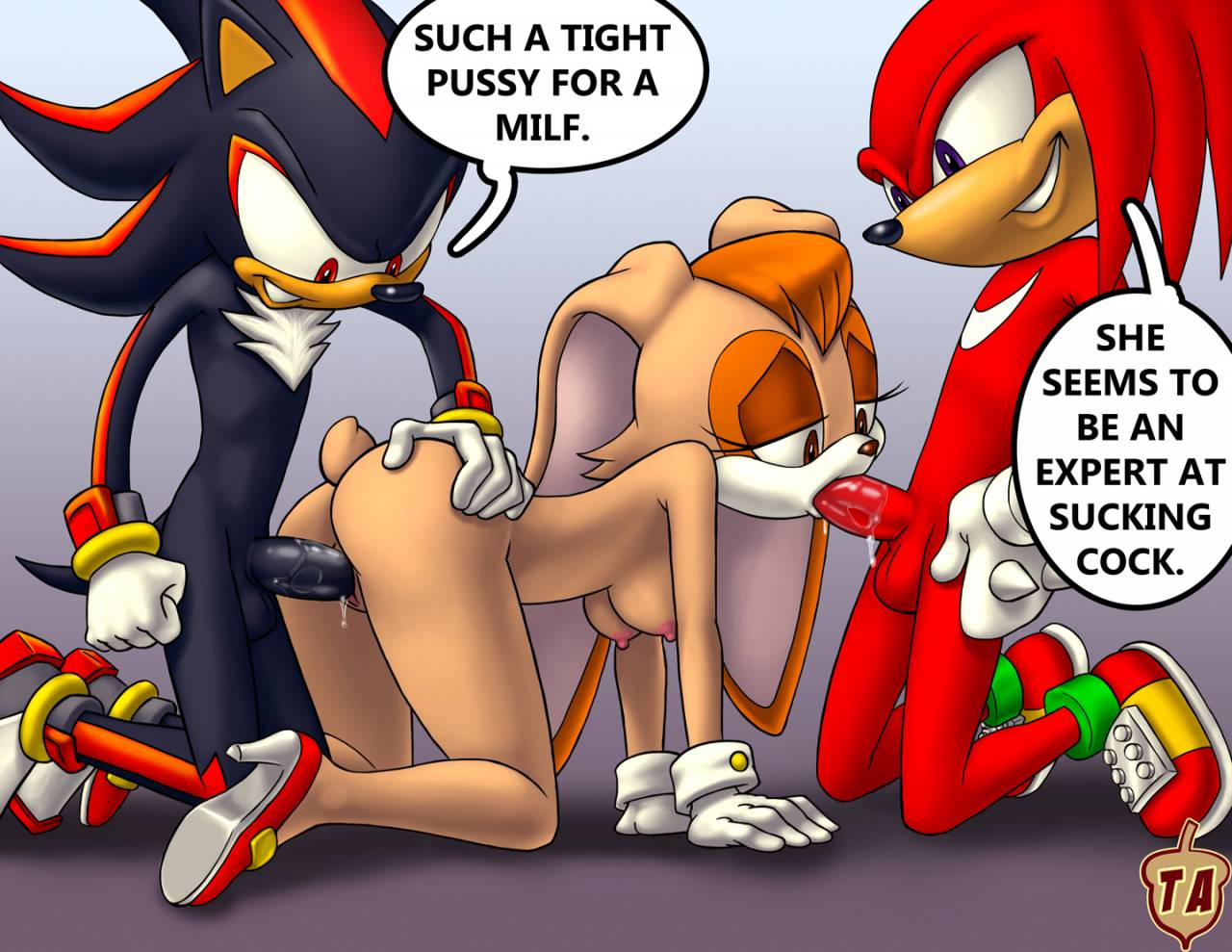 knuckles-the-echidnashadow-the-hedgehogvanilla-the-rabbit