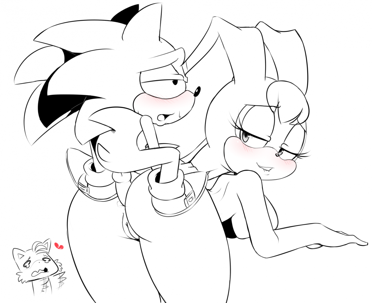 sonic-the-hedgehogtailsvanilla-the-rabbit