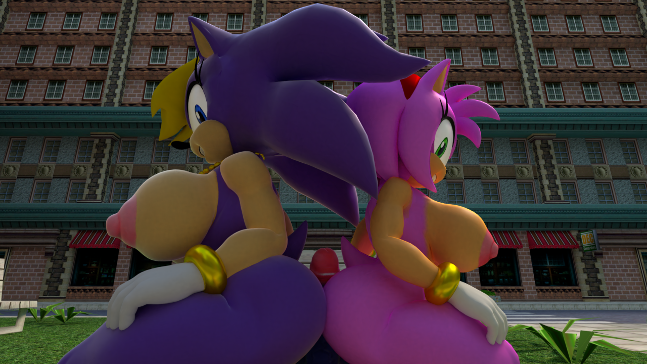 amy-rosebernadette-hedgehogsonic-the-hedgehog