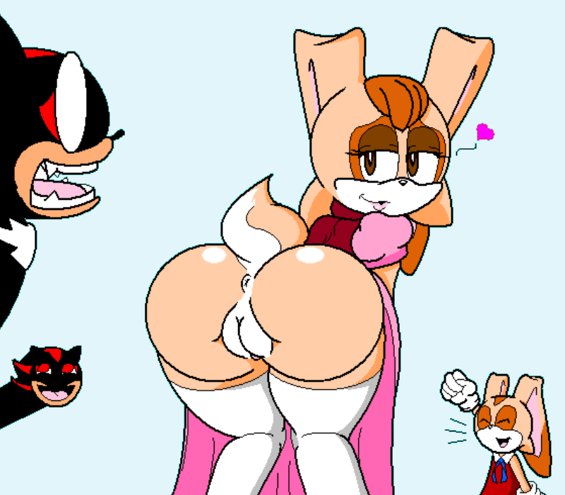 cream-the-rabbitshadow-the-hedgehogsonic-the-hedgehogvanilla-the-rabbit