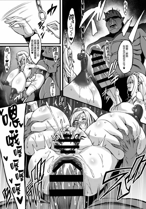 [Aodouhu (Neromashin)] Houjou no Reizoku Elf 5 + Omake no Matome Sono 2 [Chinese] [final個人漢化] [Digital]_24