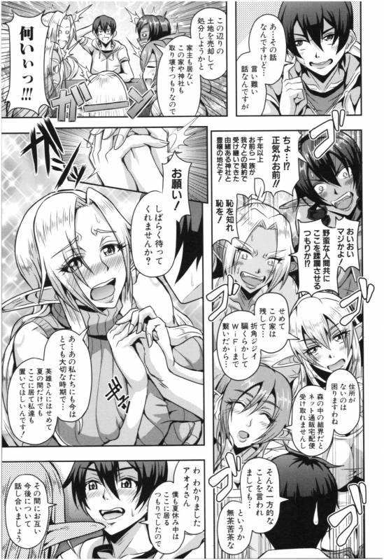 [Mifune Seijirou] Elf Harem Monogatari - Elf Harem Story_007