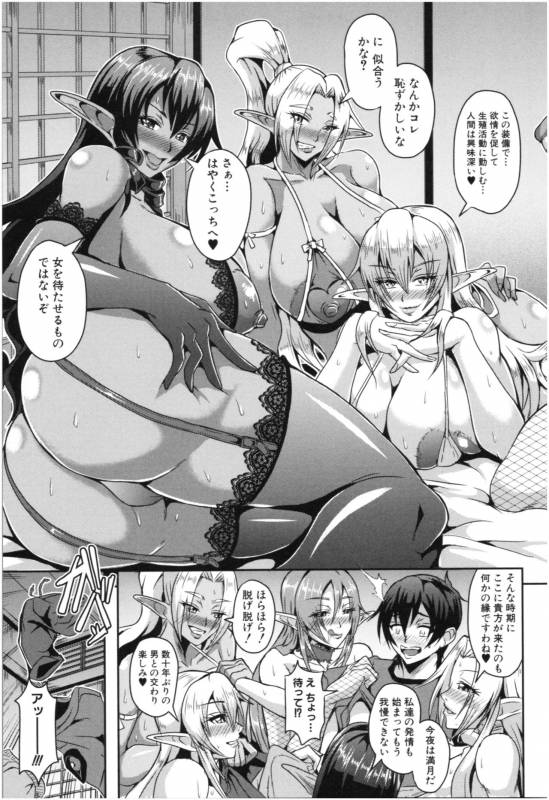 [Mifune Seijirou] Elf Harem Monogatari - Elf Harem Story_011