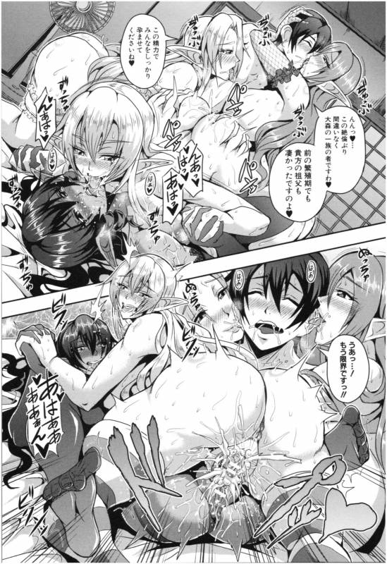 [Mifune Seijirou] Elf Harem Monogatari - Elf Harem Story_027