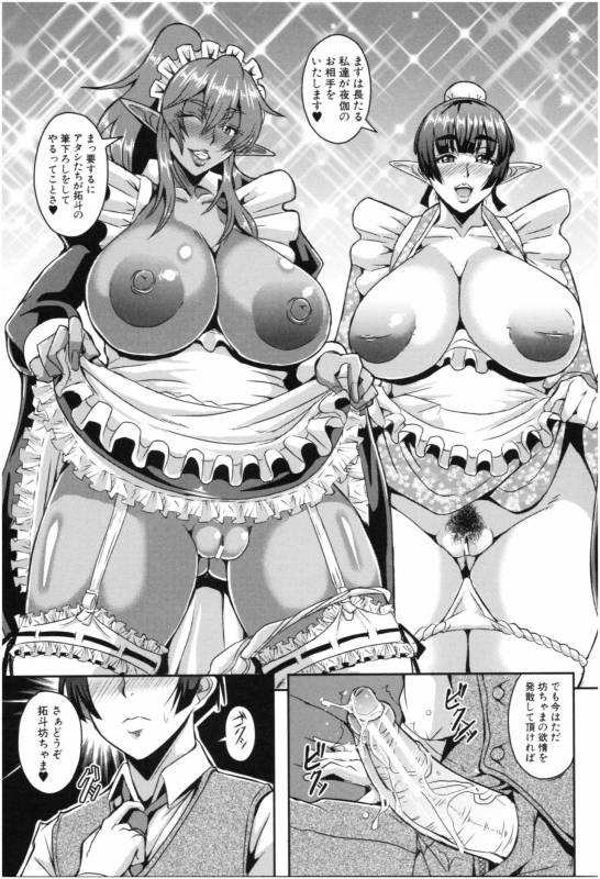 [Mifune Seijirou] Elf Harem Monogatari - Elf Harem Story_135