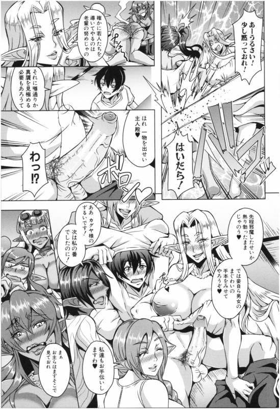 [Mifune Seijirou] Elf Harem Monogatari - Elf Harem Story_171