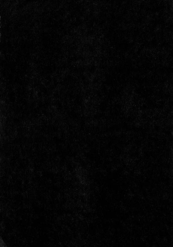 [Shindou] Hitonarazaru Oyomesama_049