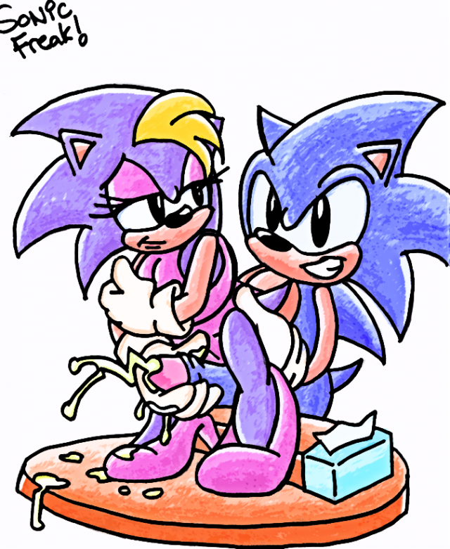 sonicfreakarchie+bernadette hedgehog+sonic the hedgehog6a1c4f55df1addc06366338ba033009e