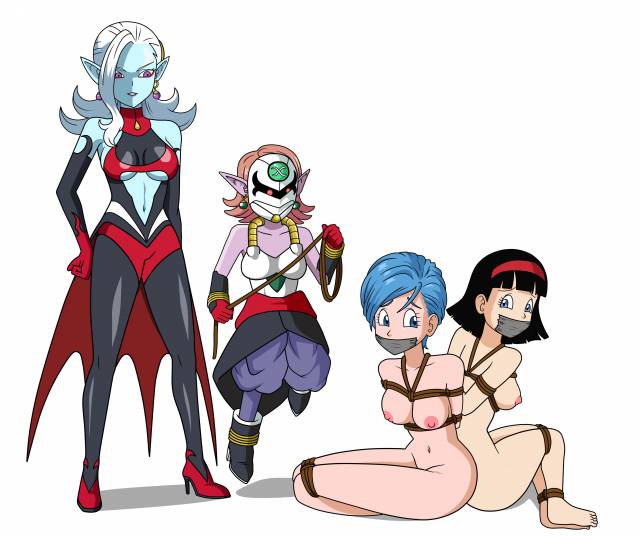 bulma briefs+chronoa+supreme kai of time+towa+videl