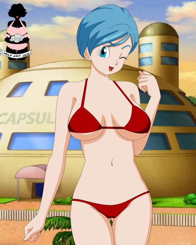 bulma briefs