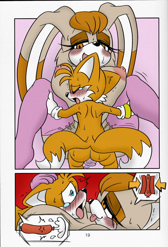 tails+vanilla the rabbit